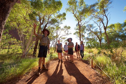 Uluru Small Group Tour Including Sunset - Restaurants Sydney 0