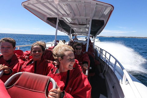 Adventure Rottnest Tour With Ferry & Adventure Cruise From Perth Or Fremantle - Restaurants Sydney 0