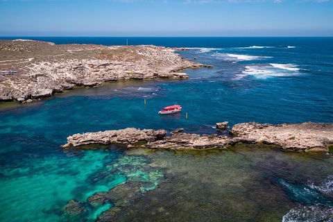 Adventure Rottnest Tour With Ferry & Adventure Cruise From Perth Or Fremantle - Restaurants Sydney 3