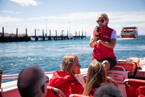 Adventure Rottnest Tour With Ferry & Adventure Cruise From Perth Or Fremantle - Restaurants Sydney 4