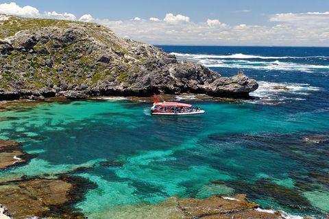 Adventure Rottnest Tour With Ferry & Adventure Cruise From Perth Or Fremantle - Restaurants Sydney 5