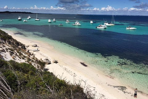 Experience Rottnest With Ferry & Bike Hire From Perth Or Fremantle - Restaurants Sydney 0