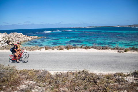 Experience Rottnest With Ferry & Bike Hire From Perth Or Fremantle - Restaurants Sydney 2