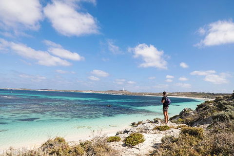 Experience Rottnest With Ferry & Bike Hire From Perth Or Fremantle - Restaurants Sydney 3