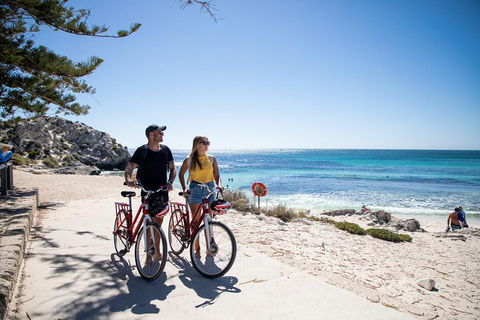 Experience Rottnest With Ferry & Bike Hire From Perth Or Fremantle - Restaurants Sydney 4