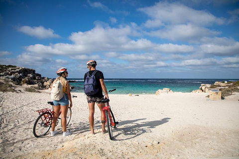 Experience Rottnest With Ferry & Bike Hire From Perth Or Fremantle - Restaurants Sydney 5