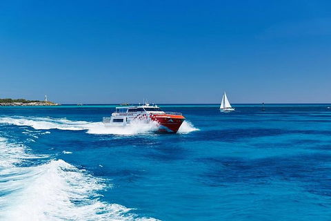 Rottnest Island Round-Trip Ferry From Perth Or Fremantle - Restaurants Sydney 4
