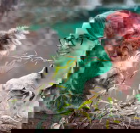 Small-Group Phillip Island Penguin Parade Day Tour from Melbourne - Restaurants Sydney