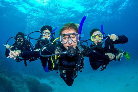 Great Barrier Reef Diving And Snorkeling Cruise From Cairns - Restaurants Sydney 0