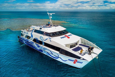 Great Barrier Reef Diving And Snorkeling Cruise From Cairns - Restaurants Sydney 5