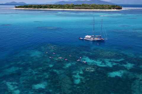 Ocean Free Green Island & Great Barrier Reef Snorkel Cruise, Cairns 25 Guests - Restaurants Sydney 2