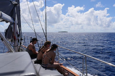 Ocean Free Green Island & Great Barrier Reef Snorkel Cruise, Cairns 25 Guests - Restaurants Sydney 4