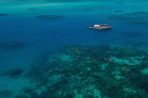 Ocean Free Green Island & Great Barrier Reef Snorkel Cruise, Cairns 25 Guests - Restaurants Sydney 5