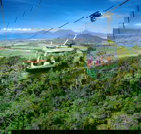 Best of Kuranda Including Skyrail Kuranda Scenic Railway and Rainforestation - Restaurants Sydney