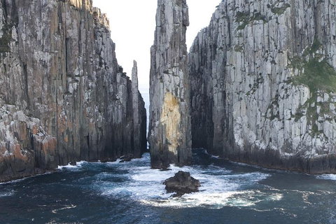 Tasman Island Cruises And Port Arthur Historic Site Day Tour From Hobart - Restaurants Sydney 2