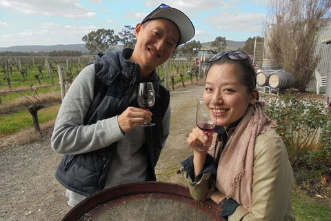 Swan Valley River Cruise And Wine Tasting Day Trip From Perth - Restaurants Sydney 0
