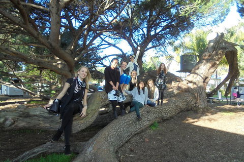 1/2 Day Swan Valley Wine Cheese & Chocolate Tour Inc Afternoon Cruise To Perth - Restaurants Sydney 0