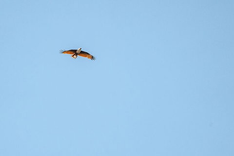 North Stradbroke Island Day Trip From Brisbane - Restaurants Sydney 4