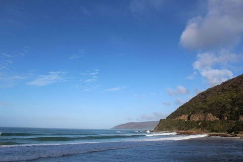 Private Great Ocean Road Day Tour With Early Departure & Early Return (11 Hours) - Restaurants Sydney 3