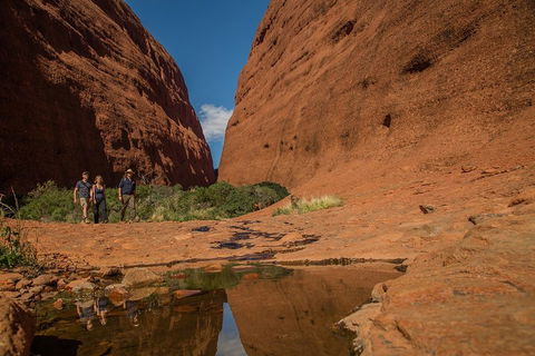 4 Day/3 Night Perentie Dreaming Safari - Restaurants Sydney 3