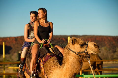 4 Day/3 Night Perentie Dreaming Safari - Restaurants Sydney 4
