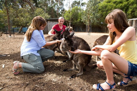 Full-Day Kangaroo Island Experience Departing From Kangaroo Island - Restaurants Sydney 5