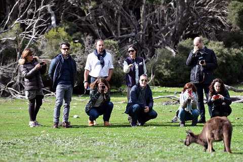 Small-Group Kangaroo Island 4WD Tour From Adelaide - Restaurants Sydney 2
