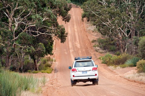 Small-Group Kangaroo Island 4WD Tour From Adelaide - Restaurants Sydney 3