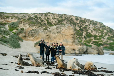 Small-Group Kangaroo Island 4WD Tour From Adelaide - Restaurants Sydney 4