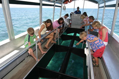 Cairns City Sights And Surrounds Tour - Restaurants Sydney 5