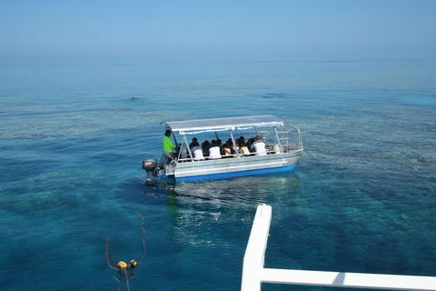 Seastar Luxury Outer Great Barrier Reef Island And Reef Tour From Cairns - Restaurants Sydney 5