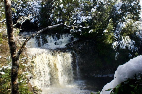 Cradle Mountain Park Explorer Guided Tour - Restaurants Sydney 4
