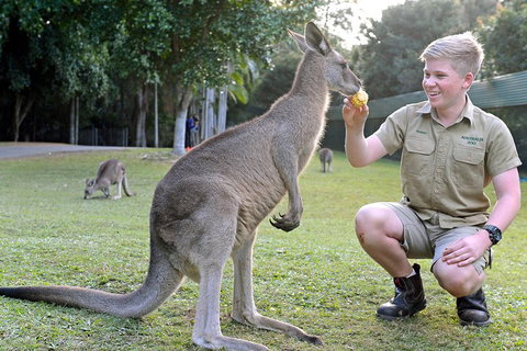 Small-Group Australia Zoo Day Trip From Brisbane - Restaurants Sydney 4