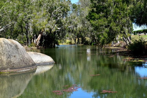 Private Daintree And Cape Tribulation Tour From Port Douglas - Restaurants Sydney 3