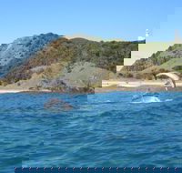 Kayaking with Dolphins in Byron Bay Guided Tour - Restaurants Sydney