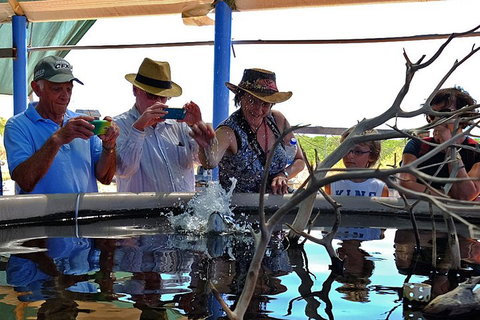Cape Leveque 4WD Tour From Broome With Optional Return Flight - Restaurants Sydney 0
