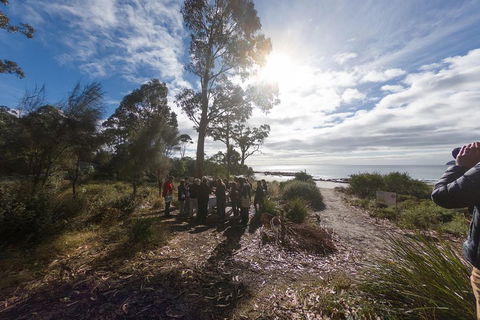 Bruny Island Day Tour, Includes Lunch And Exclusive Lighthouse Tour - Restaurants Sydney 5