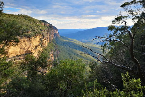 Blue Mountains Day Tour With Wildlife At Sunset From Sydney - Restaurants Sydney 5