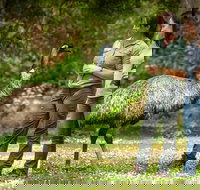 Great Ocean Road 2 Day Highlights Tour and sunset 12 Apostles - Restaurants Sydney