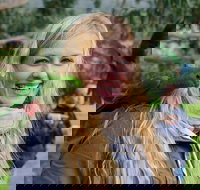 Great Ocean Road Reverse Itinerary with 12 Apostles from Melbourne - Restaurants Sydney