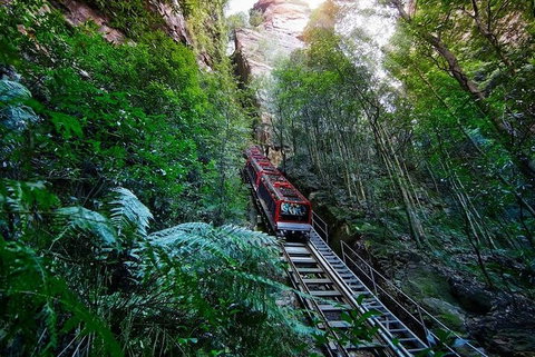 Blue Mountains Private Tour With Kangaroos & Koala Encounter - Restaurants Sydney 1