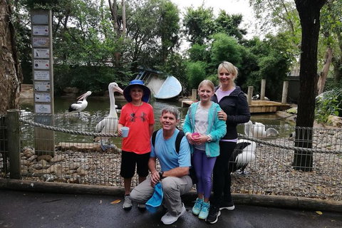 Blue Mountains Private Tour With Kangaroos & Koala Encounter - Restaurants Sydney 4