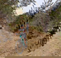 Mount Lofty Descent Bike Tour from Adelaide - Restaurants Sydney