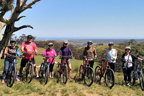 McLaren Vale Wine Tour By Bike - Restaurants Sydney 2