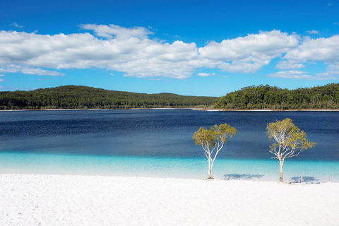 All-Inclusive Fraser Island Day Tour - Restaurants Sydney 3