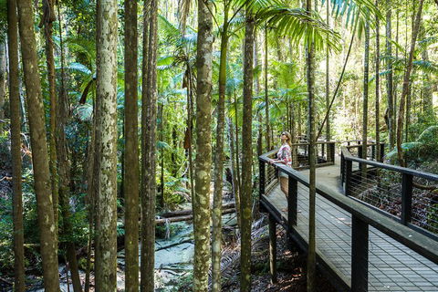 All-Inclusive Fraser Island Day Tour - Restaurants Sydney 5