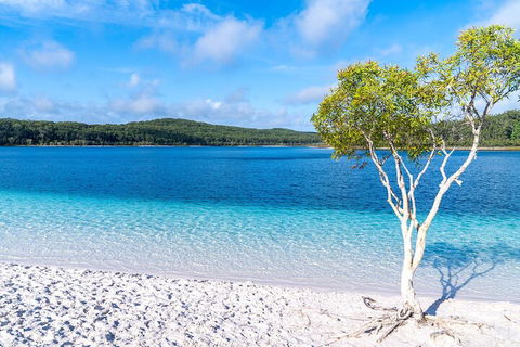 Lake McKenzie Full-Day Tour With Lunch From Hervey Bay - Restaurants Sydney 1