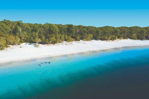 Lake McKenzie Full-Day Tour With Lunch From Hervey Bay - Restaurants Sydney 4