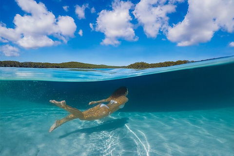 Lake McKenzie Full-Day Tour With Lunch From Hervey Bay - Restaurants Sydney 5