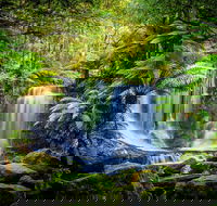 Day Tour in Mt. Field Mt. Wellington Bonorong Wildlife Sanctuary and Richmond - Restaurants Sydney
